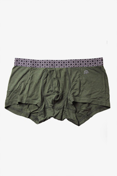 FIG �X�^���_�[�h�{�N�T�[�p���c (�J�[�L�j